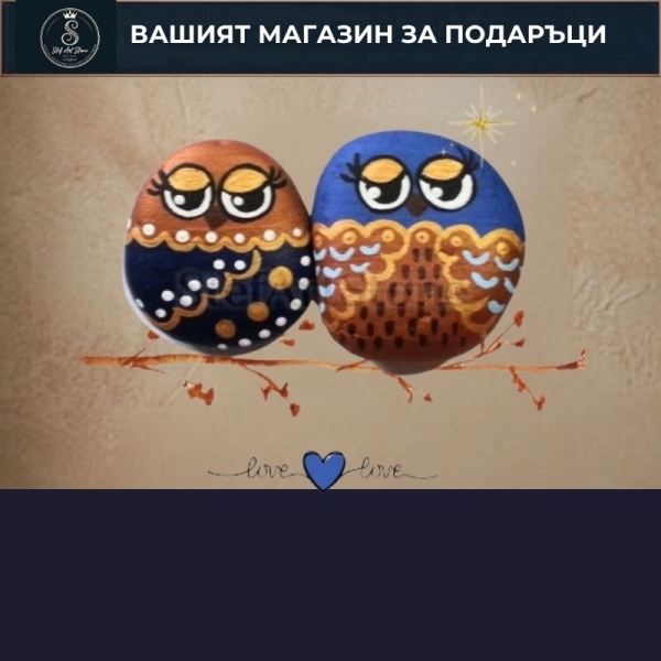 Рисувани камъни с ПТИЦИ