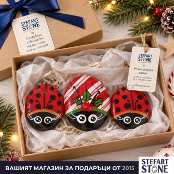 Комплект 3 рисувани камъни коледни калинки в подаръчна кутия StefArt Stone