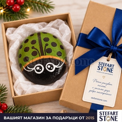 Ръчно рисуван камък зелена калинка в подаръчна кутия StefArt Stone